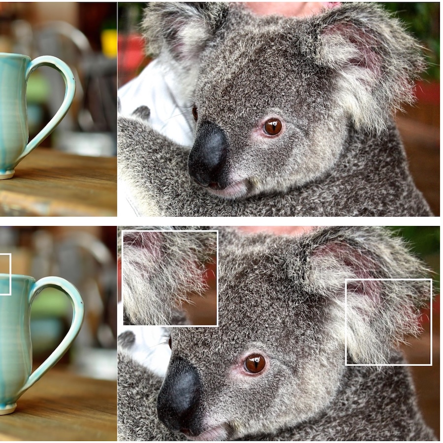  Sharp Monocular View Synthesis in Less Than a Second