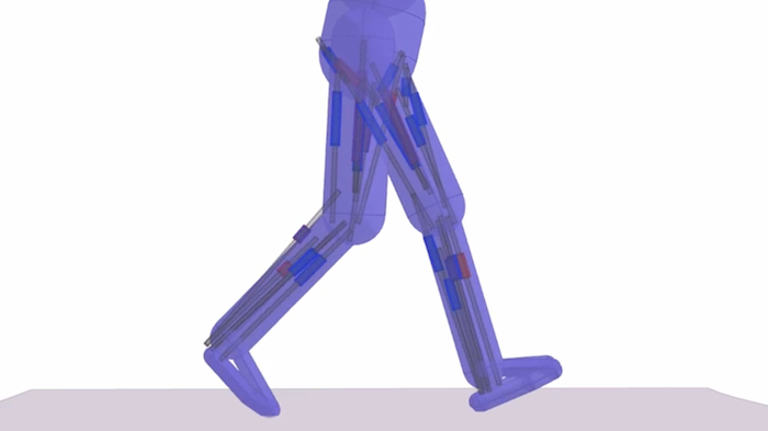 Animating Human Lower Limbs Using Contact-Invariant Optimization